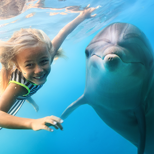 Dauphin avec jeune fille